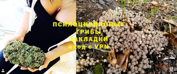 а пвп мука Магас