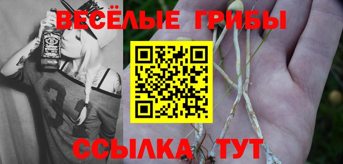 Галлюциногенные грибы MAGIC MUSHROOMS Фрязино
