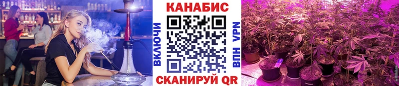 Шишки марихуана сатива  Фрязино 